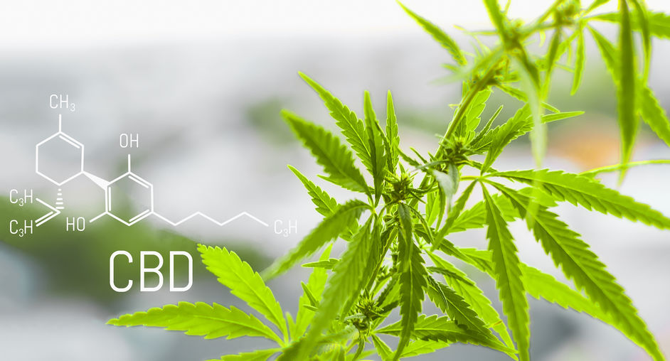 Quel CBD pour se détendre ?